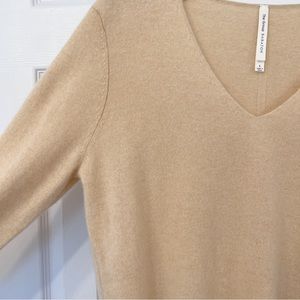 Aritzia babaton cashmere sweater